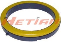H11-1135 – Hetian Auto