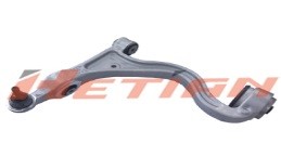 H11-8321 – Hetian Auto