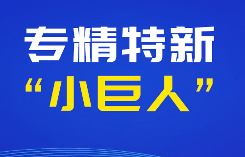 Company Successfully Selected as National-Level “Specialized, Refined, Distinctive, and Innovative” “Little Giant” Enterprise