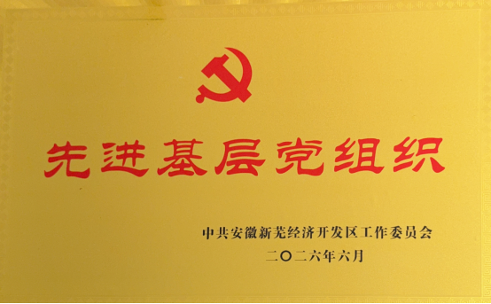 Hetian Auto Party Branch Wins the Honorary Title of “Advanced Grassroots Party Organization”